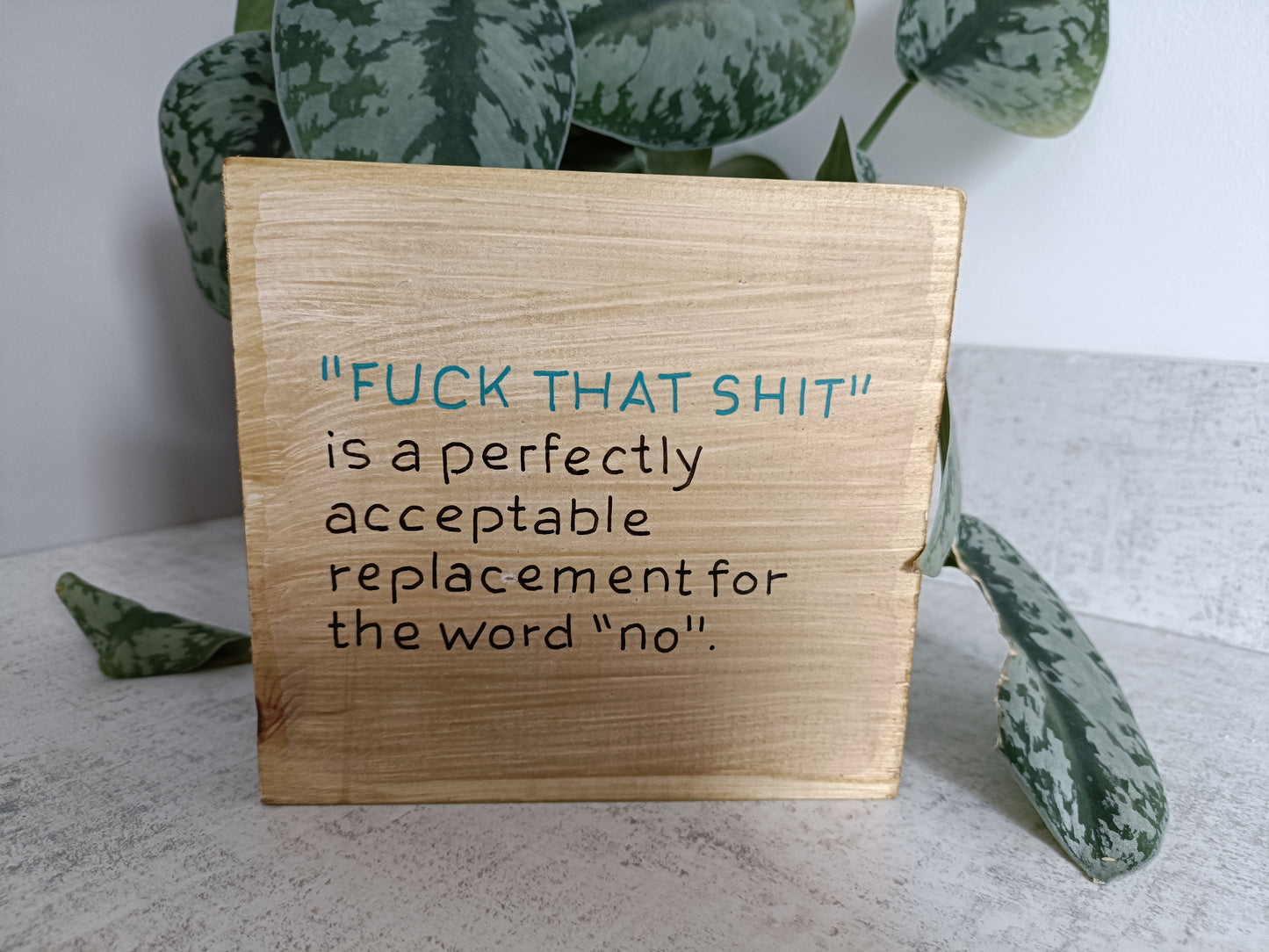 "fuck that shit" is a perfectly acceptable replacement for the word "no"!